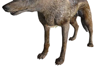 Coyote tobacco plant | Fallout Wiki
