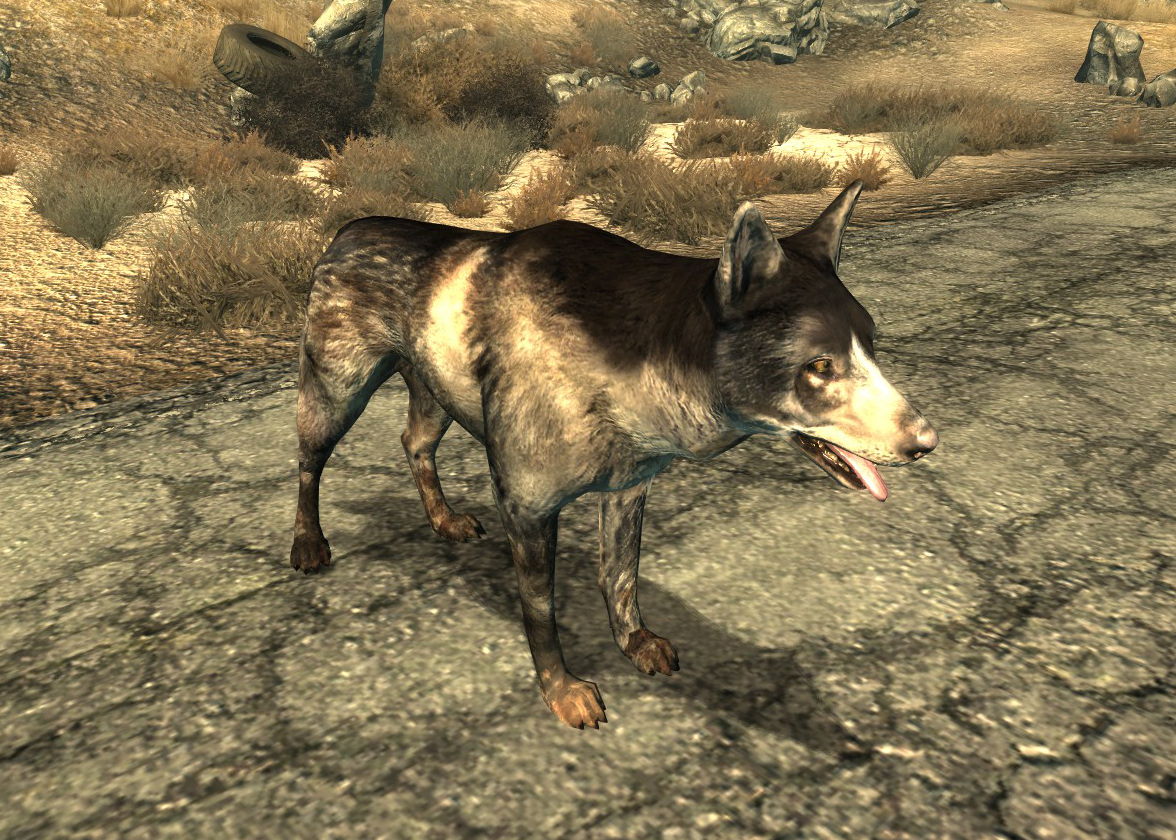 l3r40l on X: Fallout companions #Fallout3 #FalloutNewVegas