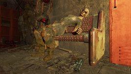 FO4NW Anise