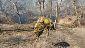 FO4 Festering bloatfly.jpg