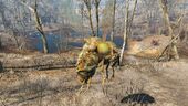 FO4 Festering bloatfly