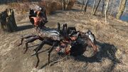 FO4 Radscorpion