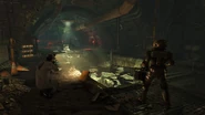 FO76 The Burrows (5).jpg (507 KB) Sewers