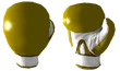 FNV Golden Gloves