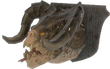 FO4-Mounted-Deathclaw-head.png