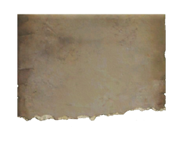 Fo4 torn note