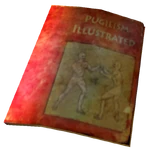 Pugilism Illustrated