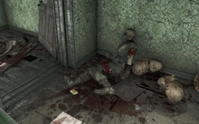 Sergeant Lees Holoband