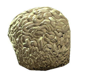 Brain fungus