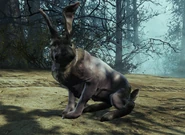 FO4FH-RadRabbit-Side.jpeg (157 kB) Conejo radioactivo en la Isla Cranberry