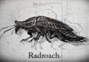 Roachstory