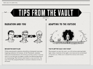 Tips5FO4Site