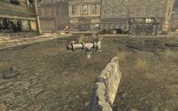 FNV Freeside farm plot 2