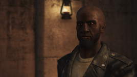 FO4FH Dejen