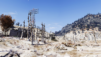 FO76 Landscape Toxic Valley