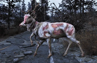 Radstag Fallout 76 Fallout Wiki Fandom