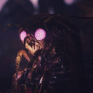 Wise Mothman during The Mothman Equinox