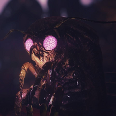 fo76 شخصية العثة wisemothman