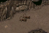 Randomscorpion.jpg (315 KB) Or that if you're (un)lucky (random encounter).