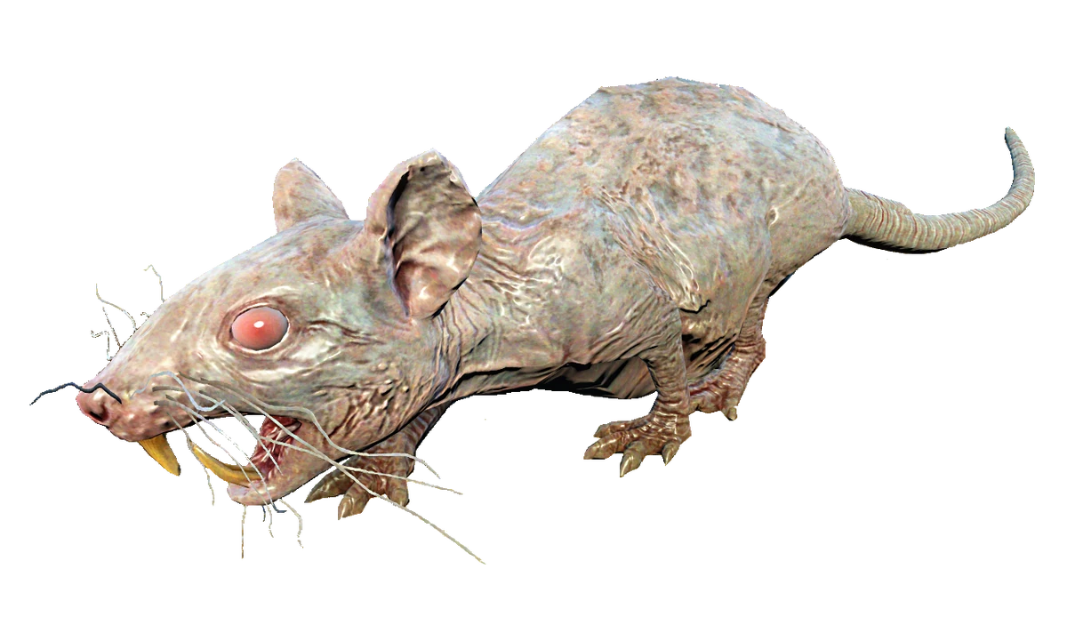 Radrat (Fallout 76) | Fallout Wiki | Fandom