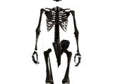 Y-17 animatronic lab skeleton