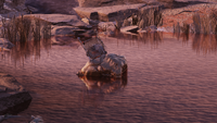 Behemoth lying facedown in pond