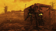 FO76 Location 12621 25.png (2.52 MB) Rad rose in the Ash Heap