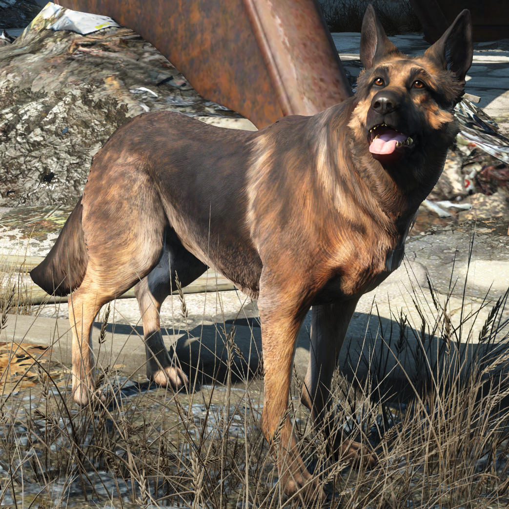 Fallout 4 good boy dogmeat фото 50