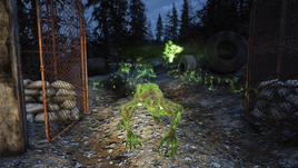 FO76 The Nightstalker