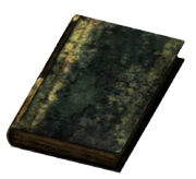 Large Burned Book.png
