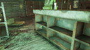 Potential Vault-Tec bobblehead location under the shop counter