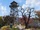 Poste d'observation de Flatwoods