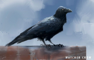 FO4 Watcher Crow
