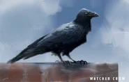 Watcher crow from The Art of Fallout 4