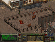 Fo1PP Brahmin.png (192 KB) Shooting brahmin. Note the single item field representing the right and the left hands.