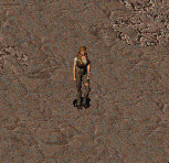 Танди в Fallout