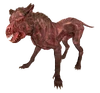 FO4 Mongrel dog