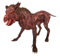 FO4 Mongrel dog.png