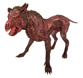 FO4 Mongrel dog