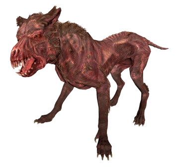 Mongrel dog online