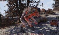 FO76 toxic sheepsquatch