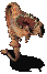FloaterAniGif.gif