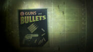 Guns and Bullets