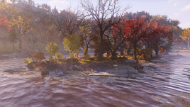 FO76 Deathclaw Island