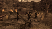 FNV Great Khans support squad For the Republic p2
