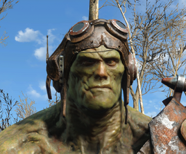 FO4 The Watcher