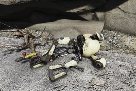 FO76WL Tom's Robot Handy