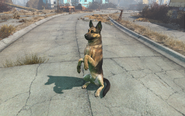 Fo4 Dogmeat's trick