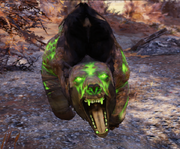 Fo76 Glowing yao guai.png