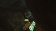 Ralphie poster tunnel trailer